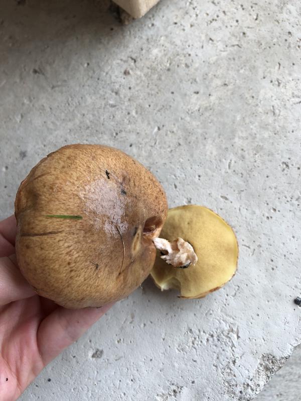 post image 5