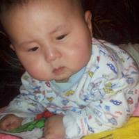 Anelya