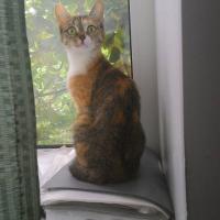 Анна