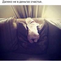 Залина