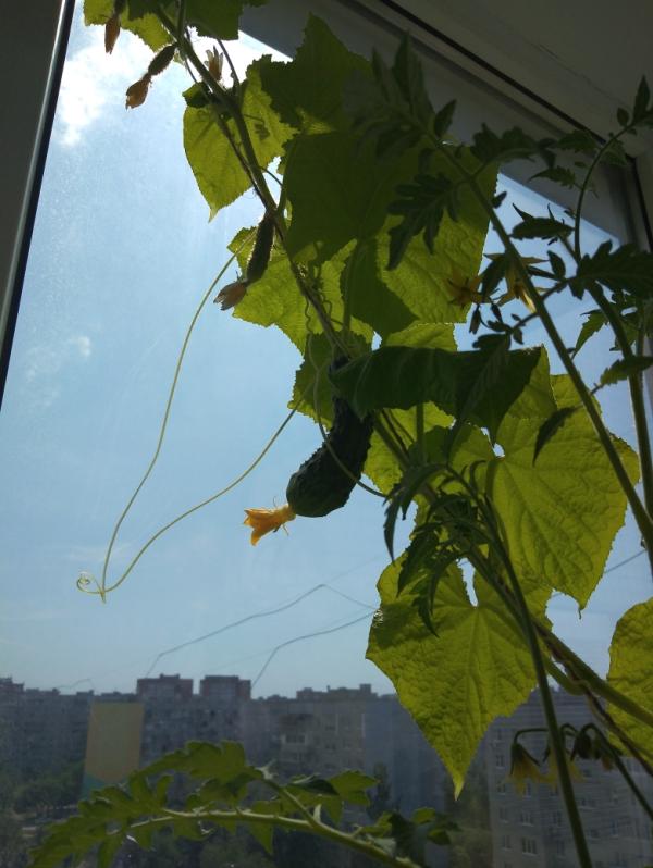 post image 5