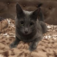 Кристина