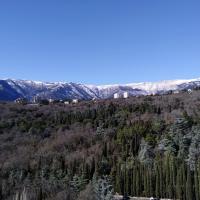 Алёна