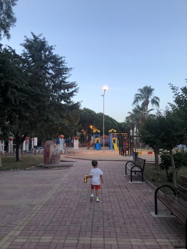 post image 5