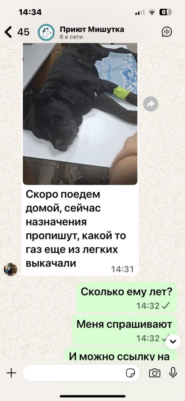 post image 3