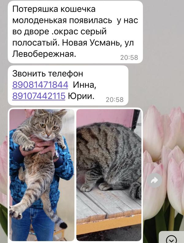 post image 3