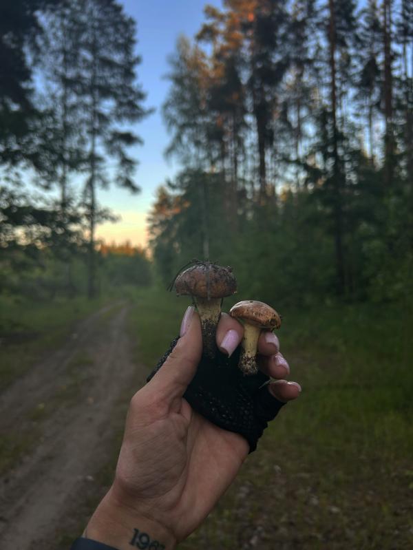 post image 5