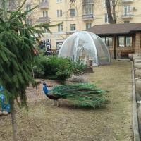 Валерия