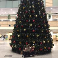 Лейла Крымшамхалова