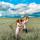 grishak_ksusha_