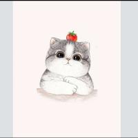 nevnormeee_