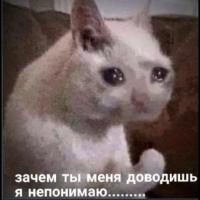милана))