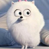 BSh