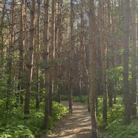 Амелия