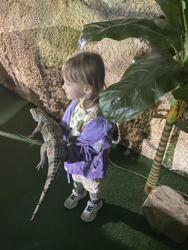 post image 5