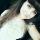 mommy_milki