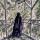 hanifa_30