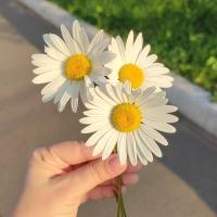 Мария
