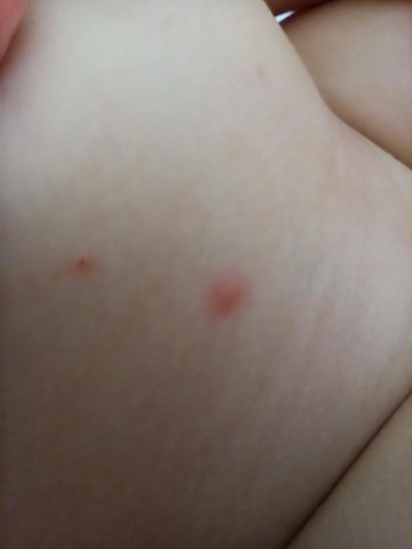 post image 3