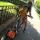 essens_68