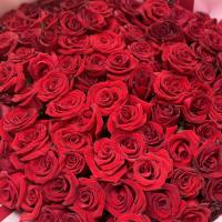 Aishon 