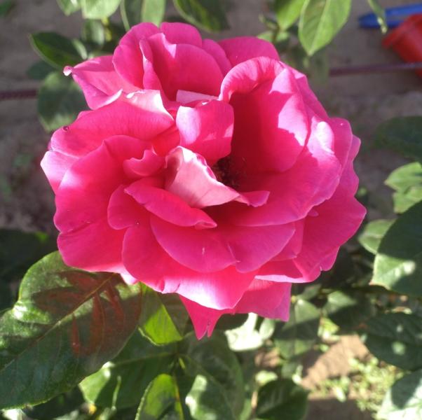 post image 4