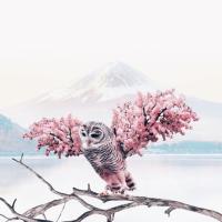 Яна 