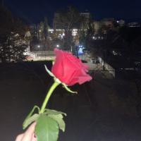 Соня