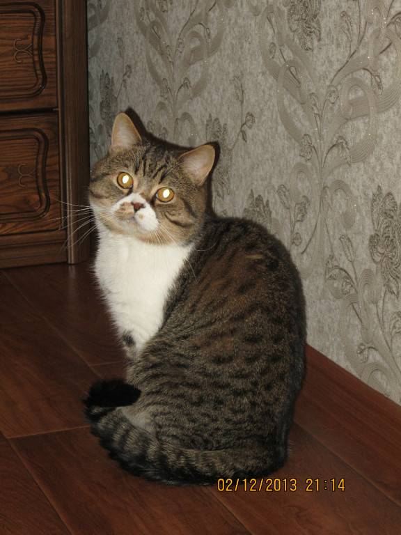 post image 2