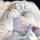 selima_ibr