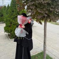Xабиба