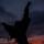 lune_vi