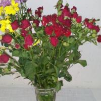 Мадина Анхаева