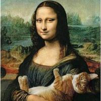 Екатерина 🐈‍⬛