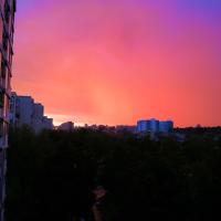 Вики