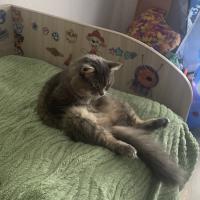 Татьяна 
