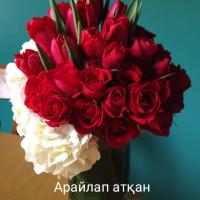 Айдана