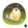 veron1701