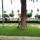 id5910553