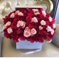 🌸🌸🌸🌺🌺🌺