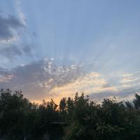 Ася