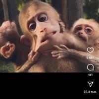 Mama 5
