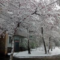Валиева Гульфира