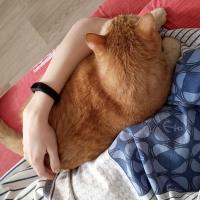 Уля