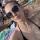 litvini_