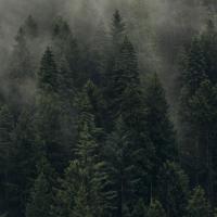 𝚕𝚊 𝚝𝚊𝚚𝚝𝚊𝚛𝚒𝚋