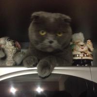 Людмила Чмель