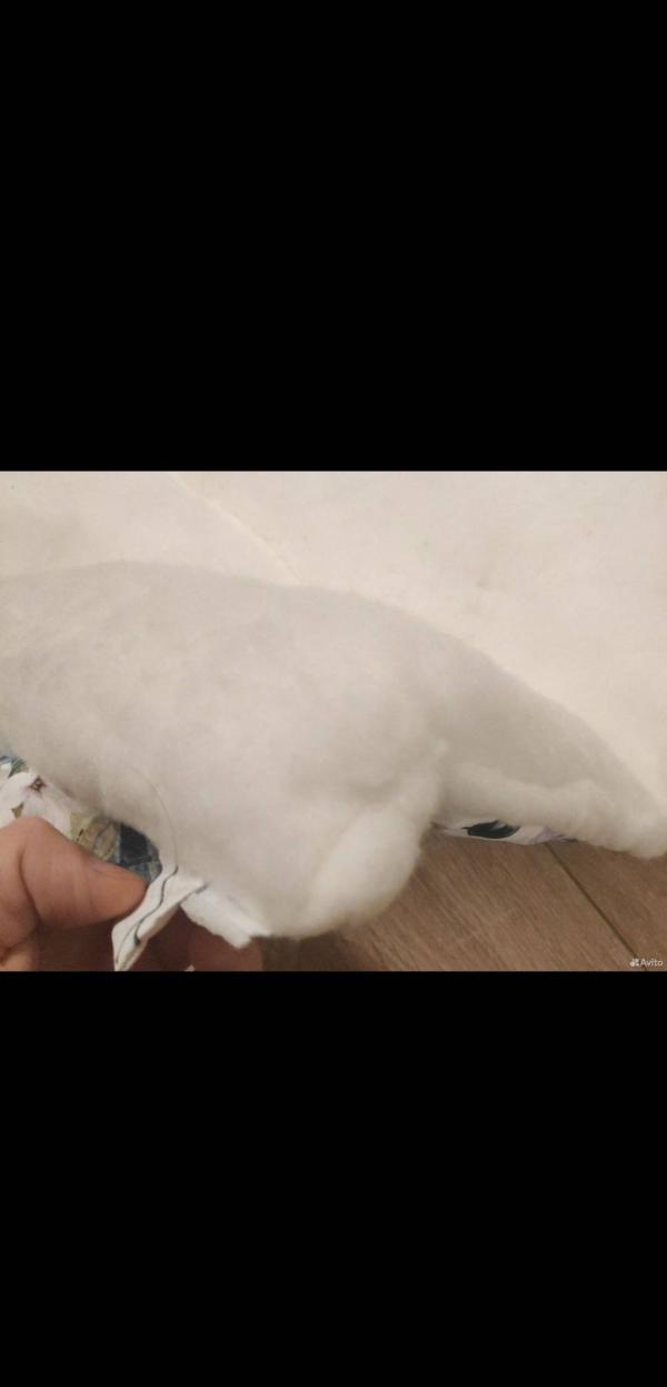 post image 4