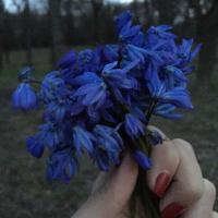 Полина Иванова
