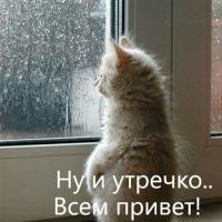 Аня